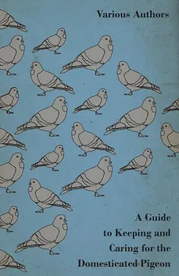 Ein Leitfaden zur Haltung und Pflege von Haustauben - A Guide to Keeping and Caring for the Domesticated Pigeon