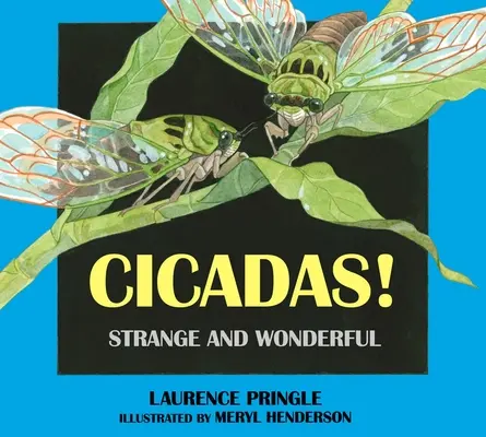 Zikaden! Seltsam und wundervoll - Cicadas!: Strange and Wonderful