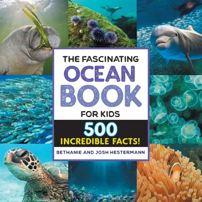 Das faszinierende Ozeanbuch für Kinder: 500 unglaubliche Fakten! - The Fascinating Ocean Book for Kids: 500 Incredible Facts!