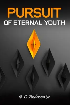 Verfolgungsjagd - Pursuit