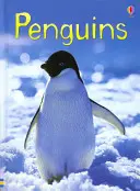 Pinguine - Penguins