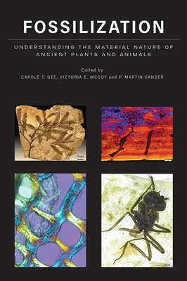 Fossilisierung: Die materielle Natur antiker Pflanzen und Tiere verstehen - Fossilization: Understanding the Material Nature of Ancient Plants and Animals