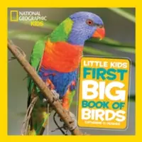 National Geographic Kleines Kinderbuch Erstes großes Buch der Vögel - National Geographic Little Kids First Big Book of Birds