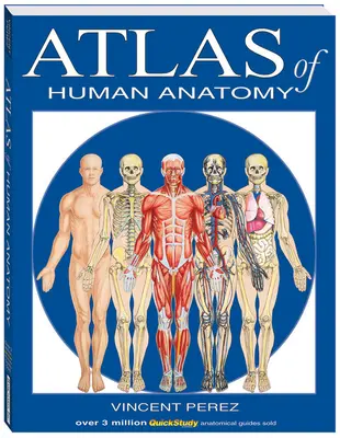Atlas der menschlichen Anatomie - Atlas of Human Anatomy