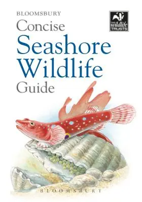 Kurzer Leitfaden für die Tierwelt am Meeresufer - Concise Seashore Wildlife Guide