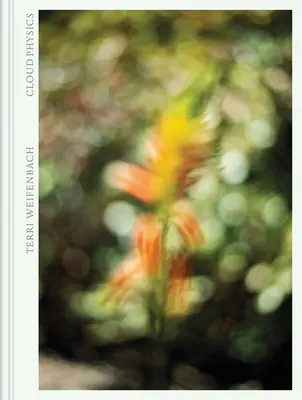 Terri Weifenbach: Wolkenphysik - Terri Weifenbach: Cloud Physics