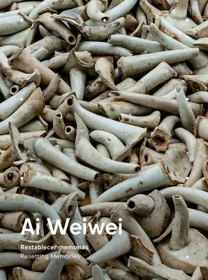 AI Weiwei: Erinnerungen zurücksetzen - AI Weiwei: Resetting Memories