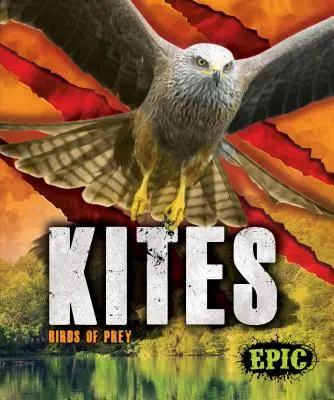 Kites: Raubvögel - Kites: Birds of Prey