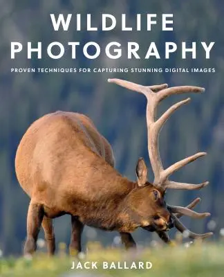 Wildlife-Fotografie: Bewährte Techniken für atemberaubende digitale Bilder - Wildlife Photography: Proven Techniques for Capturing Stunning Digital Images