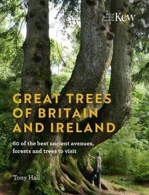 Great Trees of Britain and Ireland: 60 der besten alten Alleen, Wälder und Bäume, die man besuchen sollte - Great Trees of Britain and Ireland: 60 of the Best Ancient Avenues, Forests and Trees to Visit