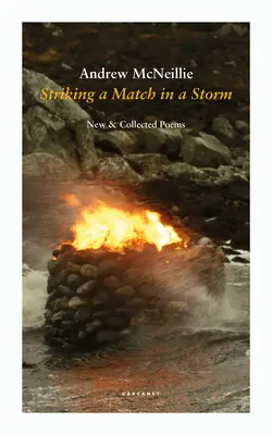 Im Sturm ein Streichholz anzünden: Neue und gesammelte Gedichte - Striking a Match in a Storm: New and Collected Poems