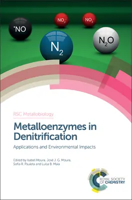 Metalloenzyme in der Denitrifikation: Anwendungen und Umweltauswirkungen - Metalloenzymes in Denitrification: Applications and Environmental Impacts