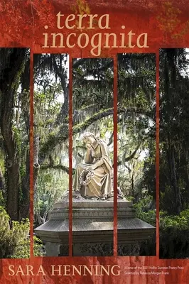 Terra Incognita: Gedichte - Terra Incognita: Poems