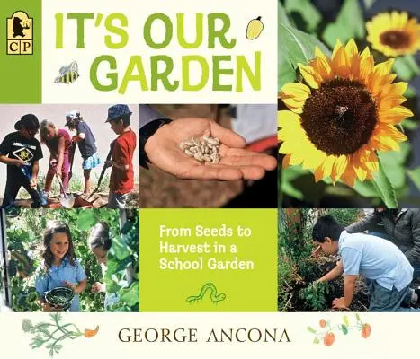 Es ist unser Garten: Von der Saat bis zur Ernte in einem Schulgarten - It's Our Garden: From Seeds to Harvest in a School Garden