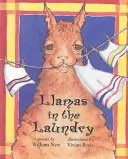 Llamas in der Wäscherei - Llamas in the Laundry