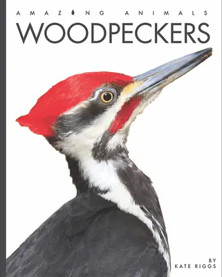 Spechte - Woodpeckers