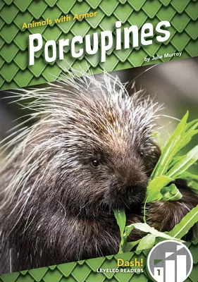 Stachelschweine - Porcupines