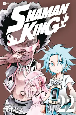 Schamanenkönig Omnibus 8 (Bd. 22-24) - Shaman King Omnibus 8 (Vol. 22-24)