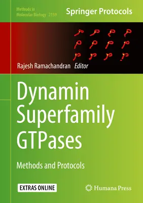 Dynamin Gtpasen der Superfamilie: Methoden und Protokolle - Dynamin Superfamily Gtpases: Methods and Protocols