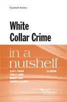 Wirtschaftskriminalität kurz und bündig - White Collar Crime in a Nutshell