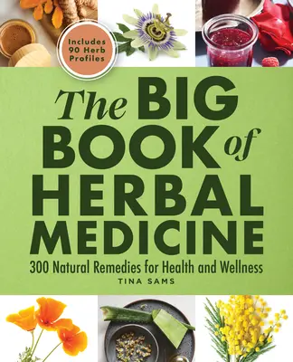 Das große Buch der Kräutermedizin: 300 natürliche Heilmittel für Gesundheit und Wohlbefinden - The Big Book of Herbal Medicine: 300 Natural Remedies for Health and Wellness