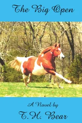 Die große Öffnung - The Big Open