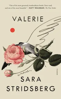 Valerie: Oder, die Fakultät der Träume: Ein Roman - Valerie: Or, the Faculty of Dreams: A Novel