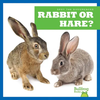 Kaninchen oder Hase? - Rabbit or Hare?