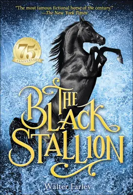 Der Schwarze Hengst - The Black Stallion