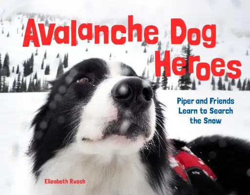 Lawinenhunde-Helden: Piper und ihre Freunde lernen, den Schnee zu suchen - Avalanche Dog Heroes: Piper and Friends Learn to Search the Snow