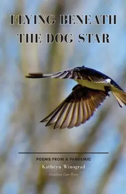 Fliegen unter dem Hundsstern: Gedichte aus einer Pandemie - Flying Beneath the Dog Star: Poems from a Pandemic