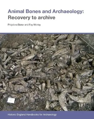 Tierknochen und Archäologie: Von der Bergung bis zum Archiv - Animal Bones and Archaeology: Recovery to Archive