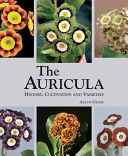 Auricula: Geschichte, Kultivierung und Varietäten - Auricula: History, Cultivation and Varieties