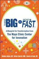 Groß denken, klein anfangen, schnell handeln: Ein Leitfaden für den Wandel vom Mayo Clinic Center for Innovation - Think Big, Start Small, Move Fast: A Blueprint for Transformation from the Mayo Clinic Center for Innovation