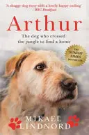 Arthur - Der Hund, der den Dschungel durchquerte, um ein Zuhause zu finden *KÜNFTIGER FILM 'ARTHUR DER KÖNIG' MIT MARK WAHLBERG* - Arthur - The dog who crossed the jungle to find a home *SOON TO BE A MAJOR MOVIE 'ARTHUR THE KING' STARRING MARK WAHLBERG*