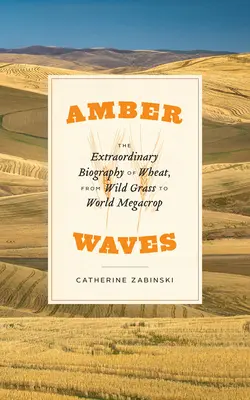 Bernsteinfarbene Wellen: Die außergewöhnliche Biografie des Weizens, vom Wildgras zur weltweiten Megakultur - Amber Waves: The Extraordinary Biography of Wheat, from Wild Grass to World Megacrop