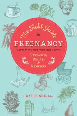 Der Feldführer zur Schwangerschaft: Navigieren im Neuland mit Forschung, Rezepten und Heilmitteln - The Field Guide to Pregnancy: Navigating New Territory with Research, Recipes, and Remedies