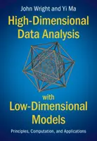 Hochdimensionale Datenanalyse mit niedrigdimensionalen Modellen: Prinzipien, Berechnungen und Anwendungen - High-Dimensional Data Analysis with Low-Dimensional Models: Principles, Computation, and Applications