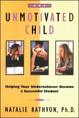 Das unmotivierte Kind: Wie Sie Ihren Underachiever zu einem erfolgreichen Schüler machen - The Unmotivated Child: Helping Your Underachiever Become a Successful Student