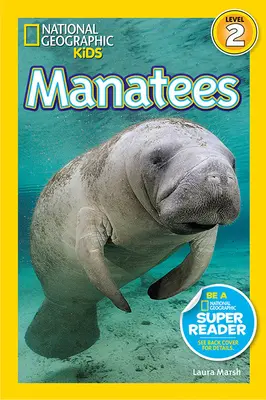 Seekühe - Manatees