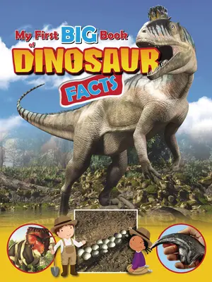 Mein erstes großes Buch mit Fakten über Dinosaurier - My First Big Book of Dinosaur Facts