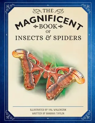 Das wunderbare Buch der Insekten und Spinnen: (Tierbücher für Kinder, Naturkundebücher für Kinder) - The Magnificent Book of Insects and Spiders: (Animal Books for Kids, Natural History Books for Kids)