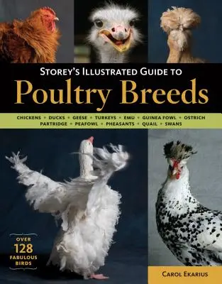 Storey's Illustrated Guide to Poultry Breeds: Hühner, Enten, Gänse, Truthähne, Emus, Perlhühner, Strauße, Rebhühner, Pfaue, Fasane, Wachteln, S - Storey's Illustrated Guide to Poultry Breeds: Chickens, Ducks, Geese, Turkeys, Emus, Guinea Fowl, Ostriches, Partridges, Peafowl, Pheasants, Quails, S