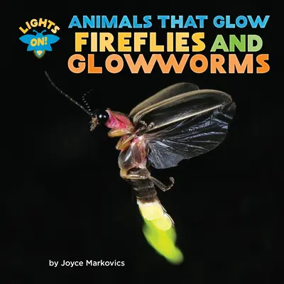 Glühwürmchen und Glühwürmchen - Fireflies and Glowworms