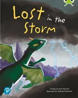 Bug Club Shared Reading: Verloren im Sturm (Jahr 1) - Bug Club Shared Reading: Lost in the Storm (Year 1)