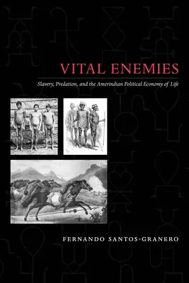 Lebenswichtige Feinde: Sklaverei, Raub und die politische Ökonomie des Lebens bei den Indianern - Vital Enemies: Slavery, Predation, and the Amerindian Political Economy of Life