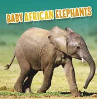 Afrikanische Elefantenbabys - Baby African Elephants