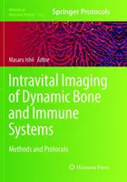 Intravitales Imaging von dynamischen Knochen- und Immunsystemen: Methoden und Protokolle - Intravital Imaging of Dynamic Bone and Immune Systems: Methods and Protocols