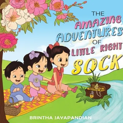 Die erstaunlichen Abenteuer der kleinen rechten Socke - The Amazing Adventures of Little Right Sock