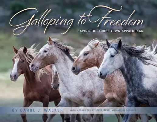 Im Galopp in die Freiheit: Die Rettung der Adobe Town Appaloosas - Galloping to Freedom: Saving the Adobe Town Appaloosas